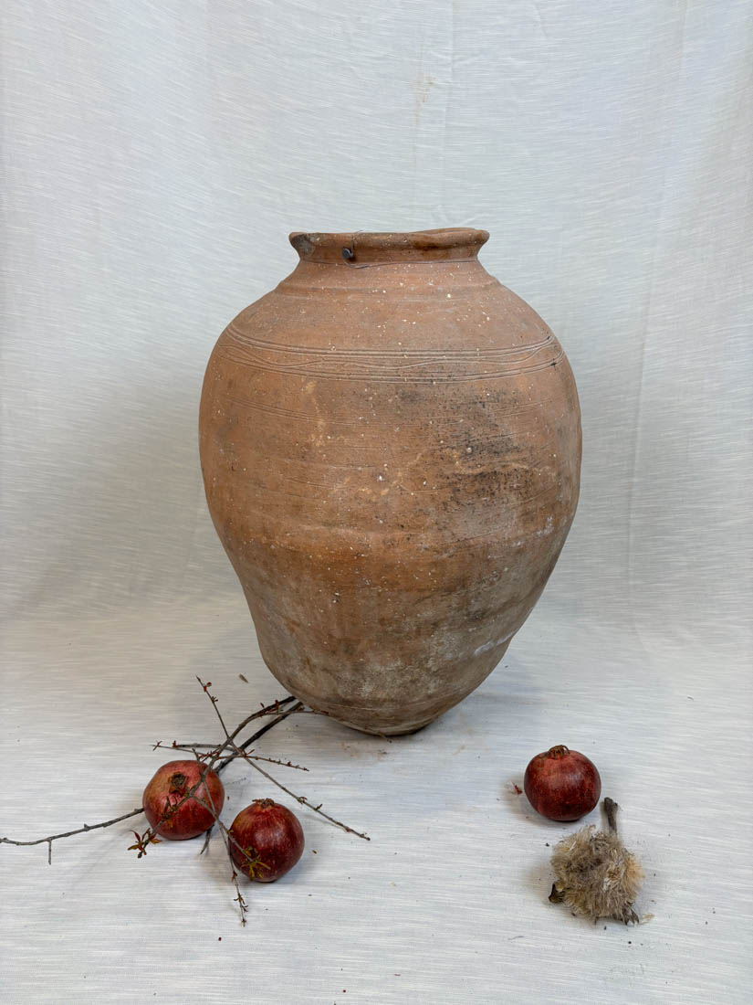 Vaso antico terractotta da giardino o casa