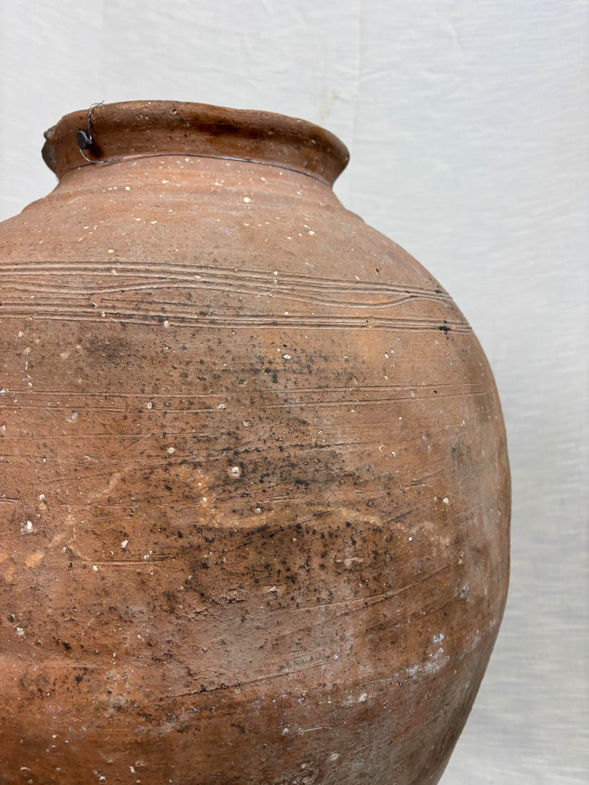 Olive Jar - Terra Cotta - 1013 L - immagine 2
