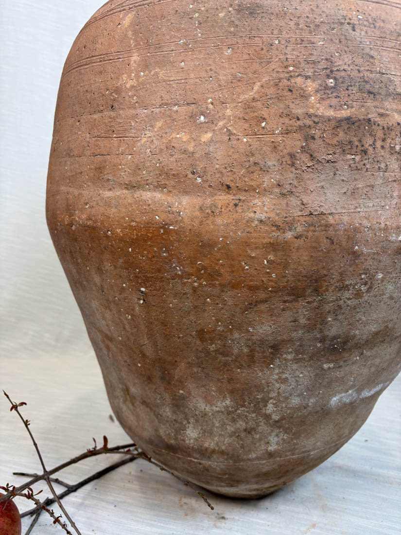 Olive Jar - Terra Cotta - 1013 L - immagine 4