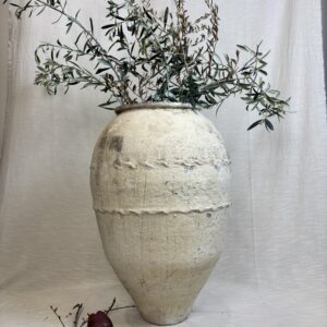 Olive Jar - White Wash - 1003L