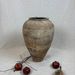 Vaso antico da casa o giardino