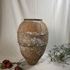 Vaso antico terracotta da giardino o casa